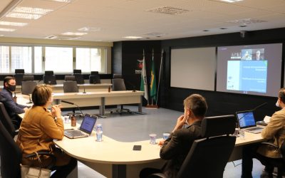 Programa Descomplica Paraná avança na fase de desenvolvimento do ambiente virtual