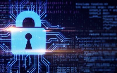 Como adequar as políticas de privacidade com as primeiras orientações da ANPD?