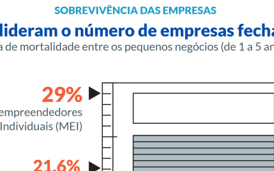 Produtos e serviços diferenciados aumentam chances de sobrevivência das empresas