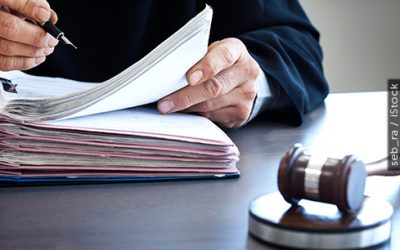 Tribunais podem aplicar técnica do julgamento antecipado do mérito no recurso de apelação