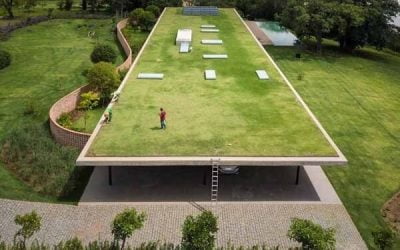Comissão aprova benefício fiscal para uso de telhados verdes na Zona Franca de Manaus
