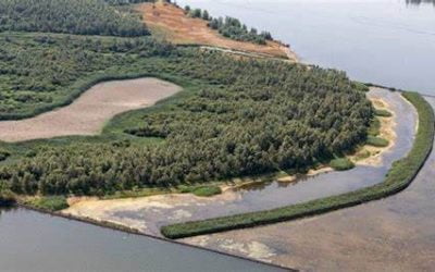 Áreas de preservação permanente e a limitação ao direito de propriedade na incidência de IPTU e ITR