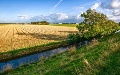 DITR 2021 – Receita Federal promove webinar para contabilistas