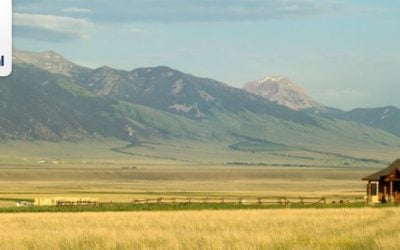 Lançada nova versão do CNIR integrada ao gov.br