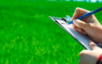 Contratos formalizados evitam conflitos no agronegócio