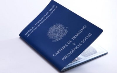 Pequenos negócios fecham o primeiro semestre de 2022 respondendo por 7 em cada 10 empregos no Brasil
