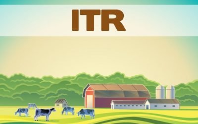 Quase 3 milhões de Declarações de ITR 2022 já foram enviadas à Receita Federal
