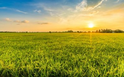 É admissível a partilha de direitos possessórios sobre imóveis que não estão devidamente escriturados