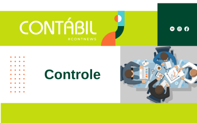 Estratégias de controle para a demonstração de resultados, lucros e perdas