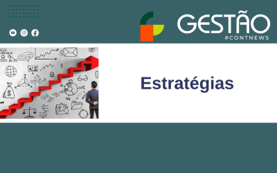 Estratégias de controle para a demonstração de resultados lucros e perdas