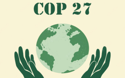 Internacional: ISSB anuncia, na COP27, implementação de normas de divulgação sobre o clima para 2023