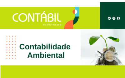 O que é contabilidade ambiental