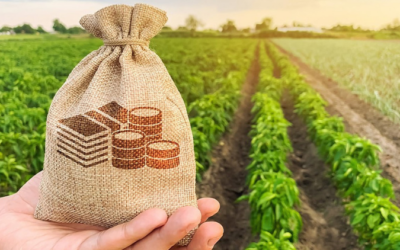 A importância do planejamento tributário para empresas do agronegócio