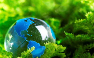 Internacional: Reminder – Simpósio IFRS sobre sustentabilidade ocorrerá daqui a uma semana
