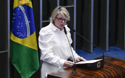Recuperação da indústria passa pela reforma tributária, aponta Margareth Buzetti