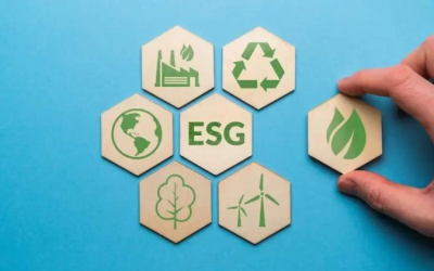 Saiba por que o tema ESG deve interessar aos pequenos negócios