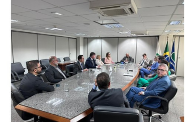 INSS atende pleito da OAB, e passará a fornecer telas dos sistemas para o público
