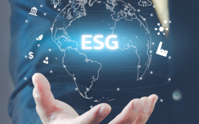 O que o ESG tem a ver com as pequenas e médias empresas?