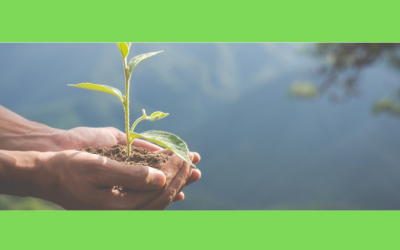 Compromisso socioambiental amplia sua importância na transação tributária
