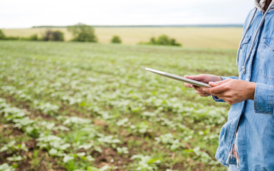 Agro e Serviços vão pagar a conta da reforma tributária do improviso