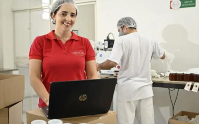 Nova Política Industrial se desdobra na transformação digital dos pequenos negócios