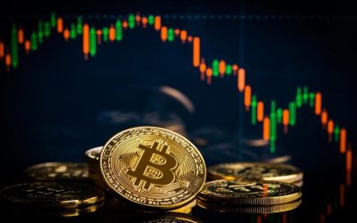 Saiba como declarar suas criptomoedas em 2024