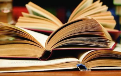 RBC: edição n.º 265 já está disponível para leitura