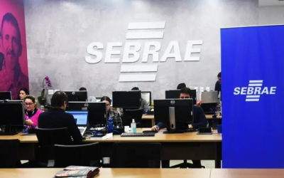 Programa do Sebrae e Serasa eleva a produtividade, competitividade e faturamento de pequenos negócios