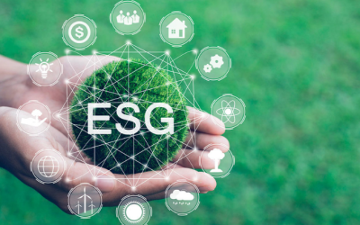 Auditoria de Campo e Boas Práticas de ESG: Impulsionando a Sustentabilidade Corporativa