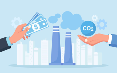 Internacional: Ifac, CPA e ISF publicam relatório sobre os mercados voluntários de crédito de carbono