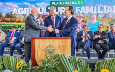 Plano Safra da Agricultura Familiar: Sebrae concede garantias de crédito para pequenos produtores
