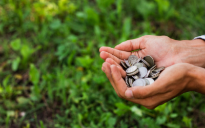 Tributarista comenta a respeito das novas súmulas do CARF e os impactos para o Agronegócio