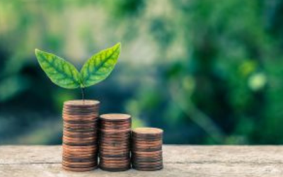Tax ESG: Reforma Tributária pode apontar para uma nova era na gestão do meio ambiente no Brasil