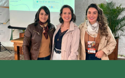 Reforma Tributária e IR da Atividade Rural foram temas de palestra na Casa SESCONRS Ibraoliva na 47ª Expointer