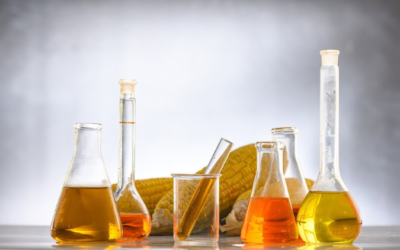 Appy destaca que a tributação de biocombustíveis será menor do que a dos combustíveis fósseis