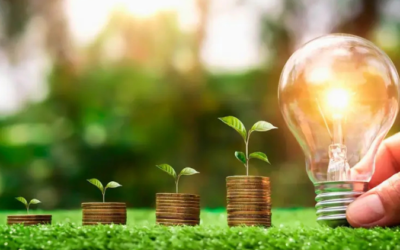 COP 29: Sebrae prioriza pequenos negócios na agenda da transição verde