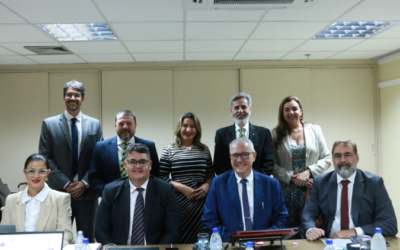 Comissão de Contabilidade Eleitoral do CFC planeja atividades de divulgação da Norma Brasileira de Contabilidade TPE 01