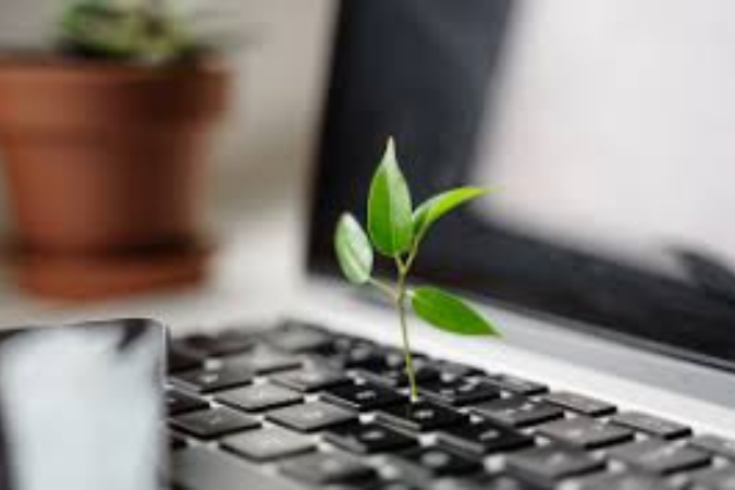 Estudo da Ifac, Aicpa & Cima aponta que mais empresas no mundo buscam asseguração em relatórios de sustentabilidade