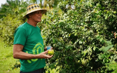 Novo modelo de desenvolvimento vai impulsionar empreendedorismo na Amazônia