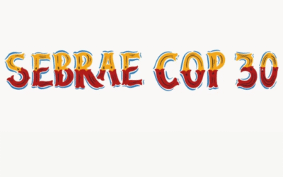 Fique por dentro: Sebrae cria portal para conectar empreendedores com a COP30