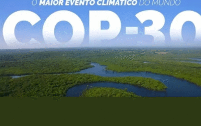 Sebrae posiciona pequenos negócios no centro do debate global na COP30