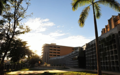 CFOAB e OAB-GO obtêm vitória em favor das prerrogativas