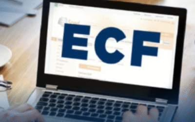 Publicação da Versão 11.3.1 do programa da ECF