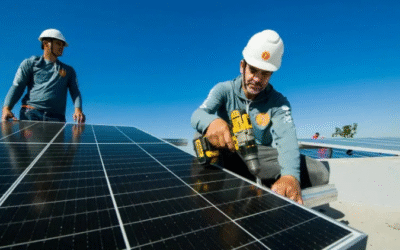Empreendedorismo brasileiro sai na frente quando o assunto é minimizar impactos ambientais