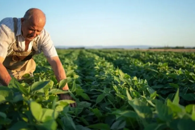 Quer inovação para a sua propriedade rural? Saiba como o Sebrae pode te apoiar