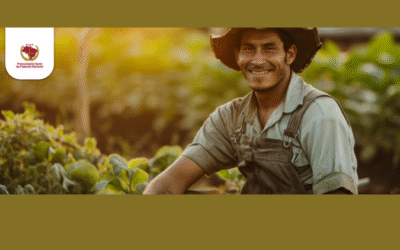 PGFN ajuda a mudar vida de produtores rurais