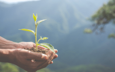Desenvolvimento sustentável dos pequenos negócios será destaque na COP30
