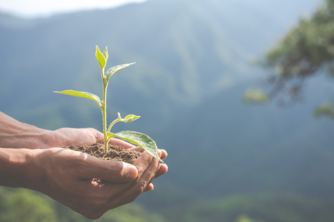 Desenvolvimento sustentável dos pequenos negócios será destaque na COP30