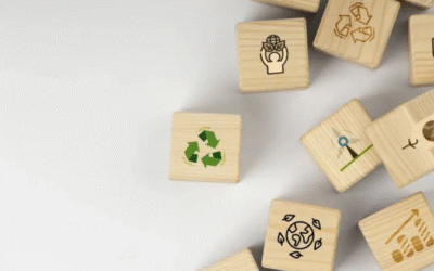 Conheça detalhes do empreendedorismo sustentável e do ecossistema de inovação verde