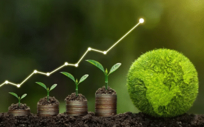 Startups de impacto socioambiental se destacam na transição para uma economia sustentável